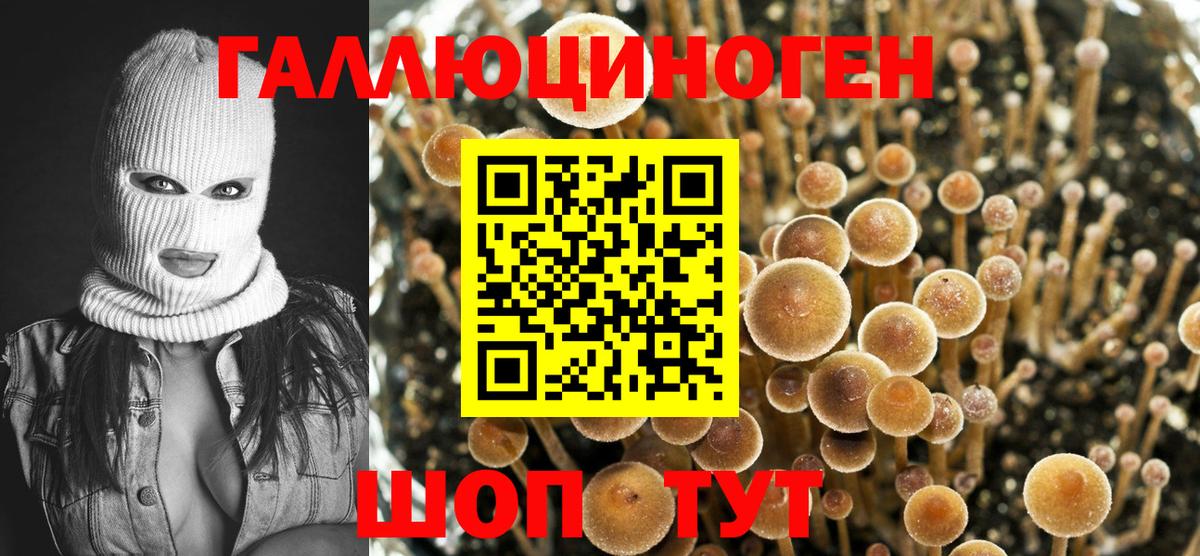 Псилоцибиновые грибы GOLDEN TEACHER  Вход с VPN  Ялта 